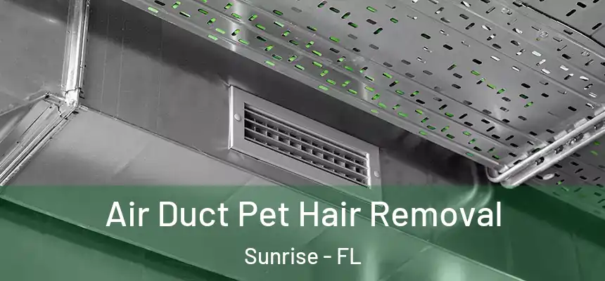 Air Duct Pet Hair Removal Sunrise - FL