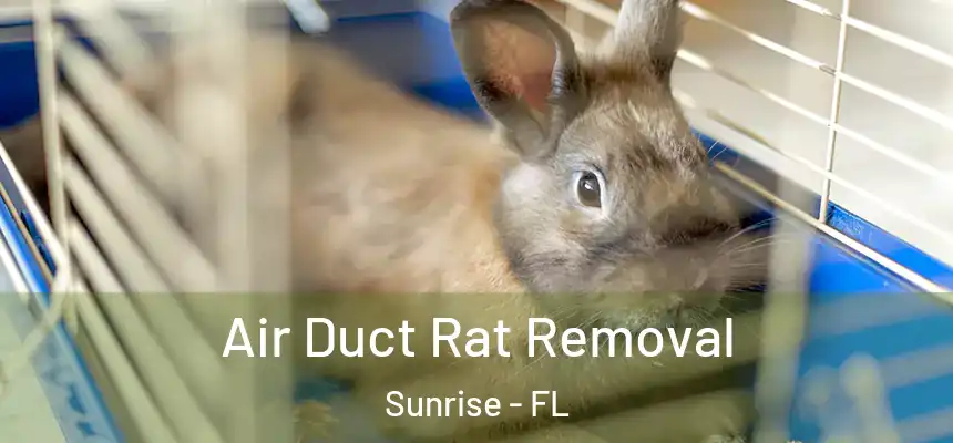  Air Duct Rat Removal Sunrise - FL