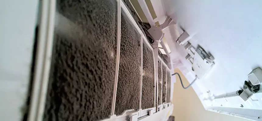 Preventive Air Duct Bacteria Removal in Sunrise