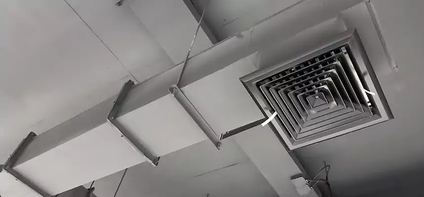 Our Rodent Droppings In Vents Services in Sunrise, FL