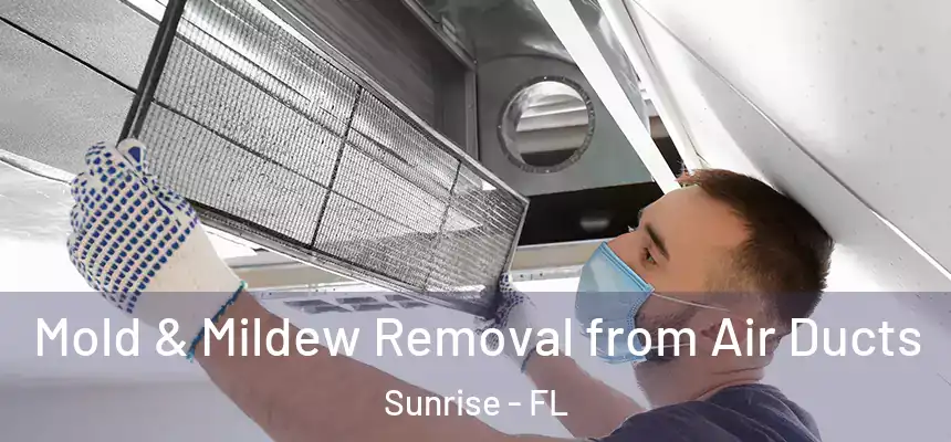 Mold & Mildew Removal from Air Ducts Sunrise - FL