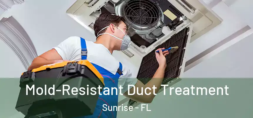  Mold-Resistant Duct Treatment Sunrise - FL
