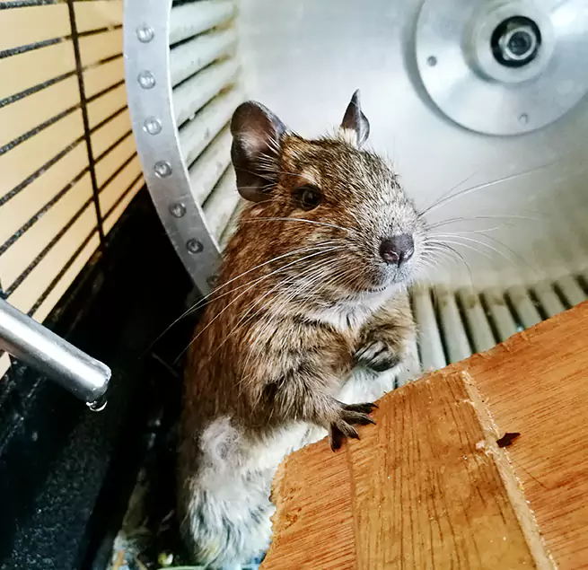 Why Homeowners & Businesses Trust Us Sunrise, FL